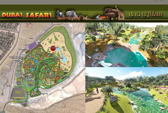 Dubai safari