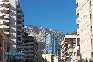 Apartments for sale at Tour Odeon